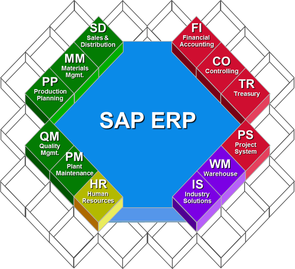 SAP-ERP
